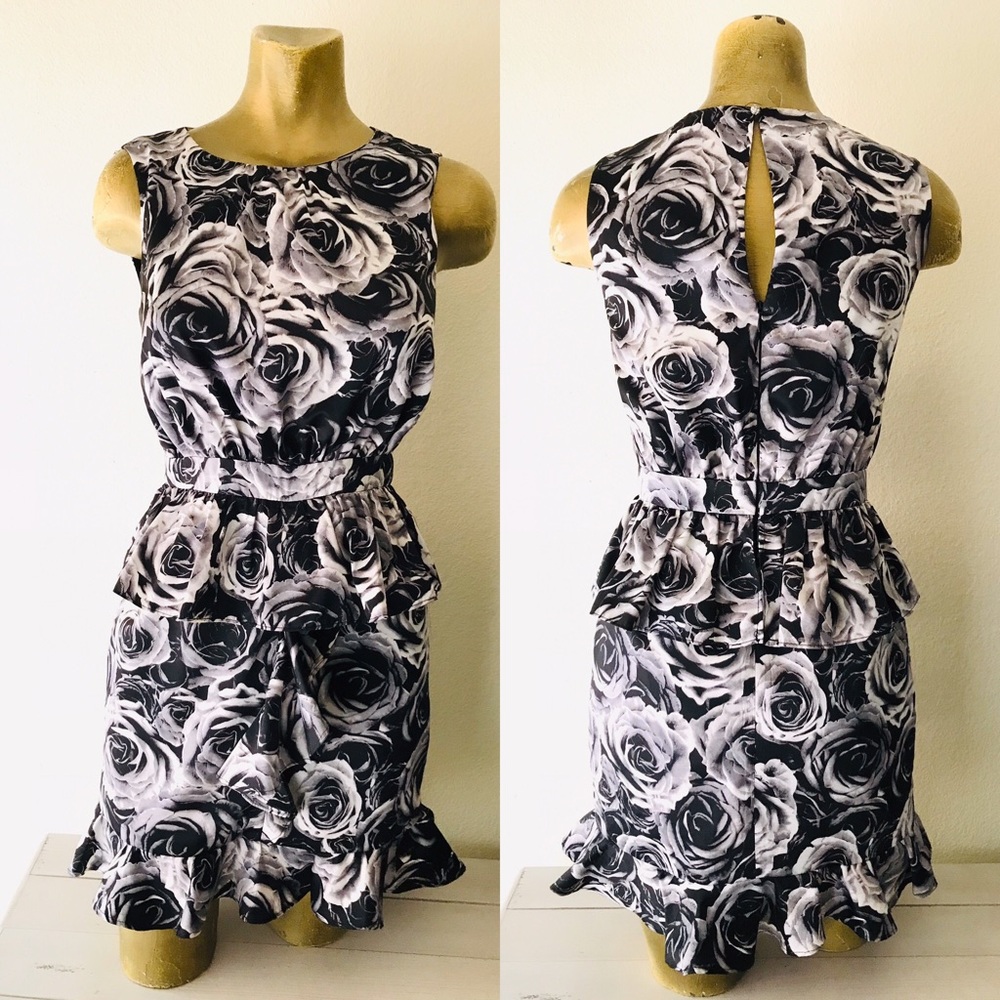 KATE YOUNG for Target ROSE Ruffle DRESS Size 2 - Picture 7 of 13